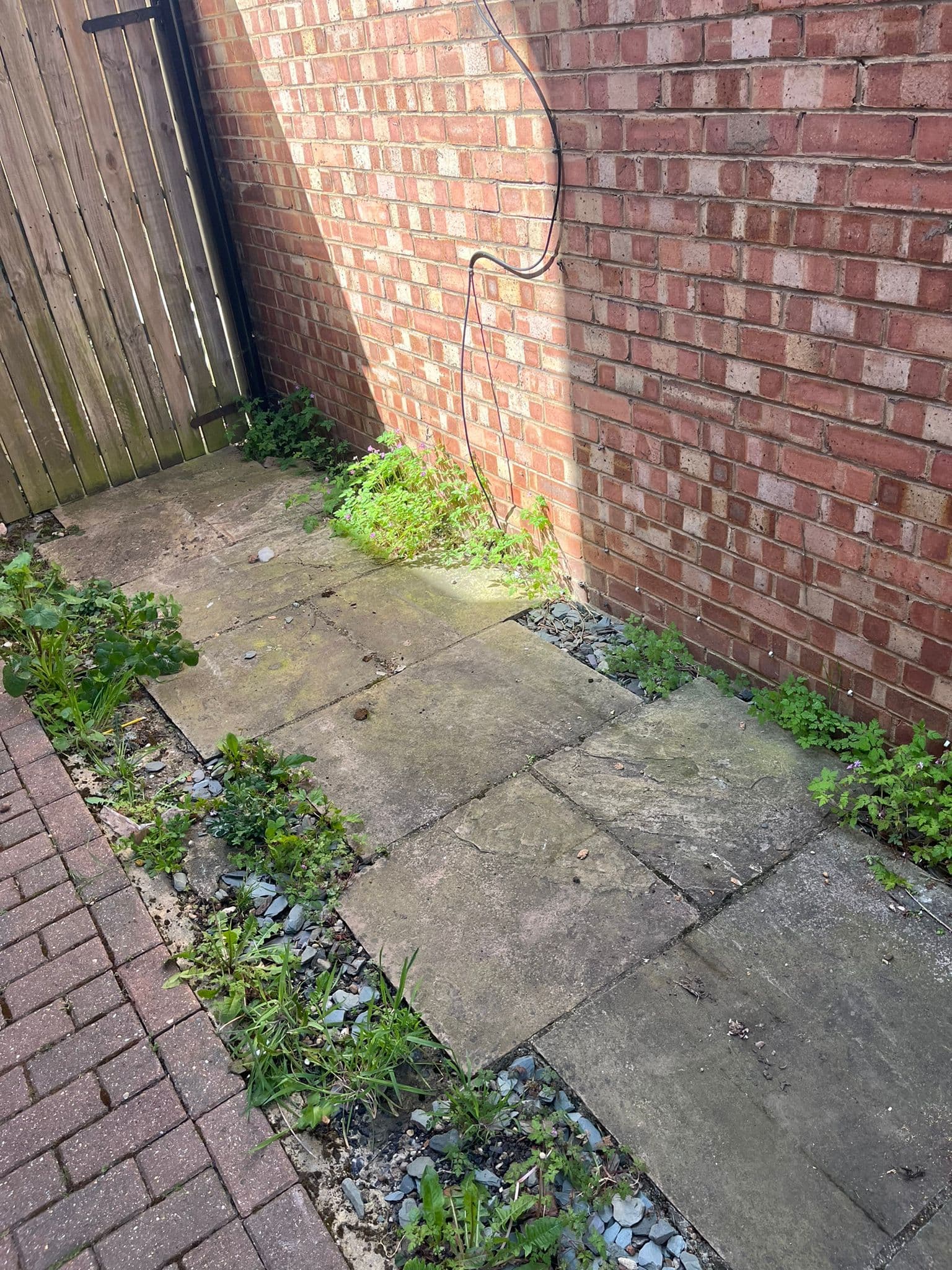 Garden in Greenwich after clearance, tidy and clear